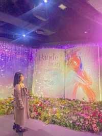 서울 인생샷 찍기 좋은 전시회🌷