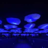 インスタ映えする世界最大級の水族館、海遊館！