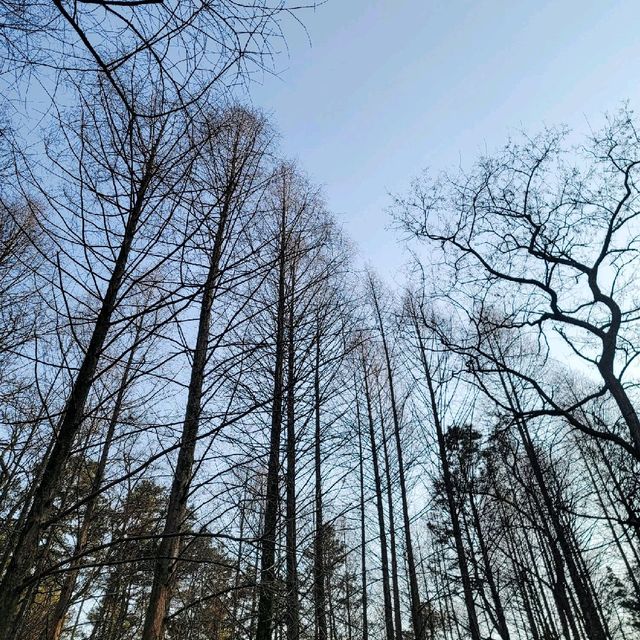 다양한 등산 코스가 있는 대전 보문산