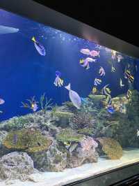 【福岡】定番デートスポ🐠マリンワールド