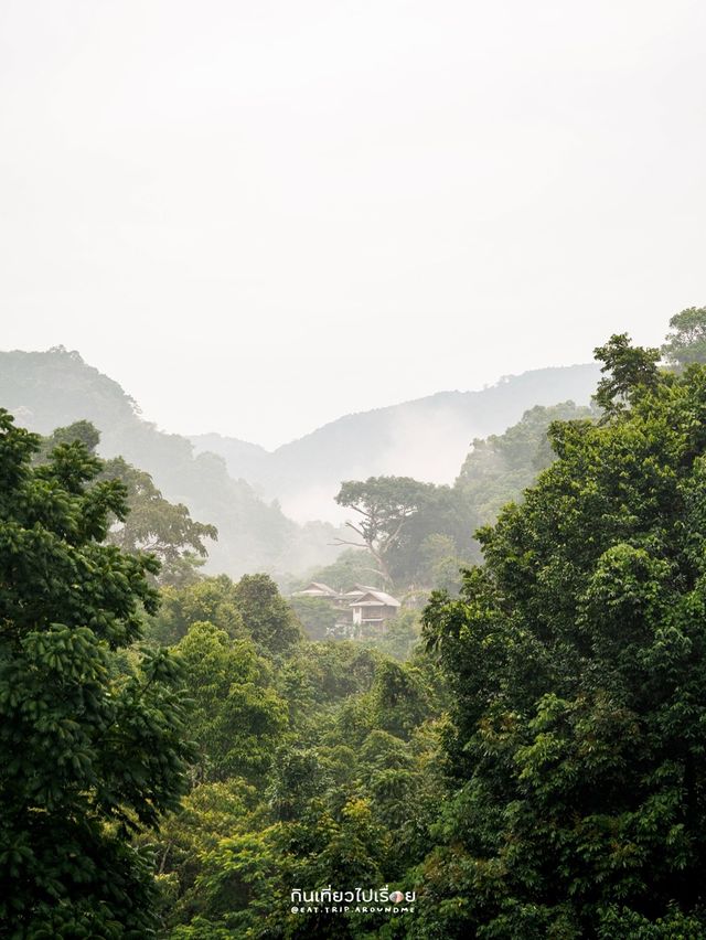 Portare.Home - ป๋อแตแม่กำปอง เชียงใหม่⛰