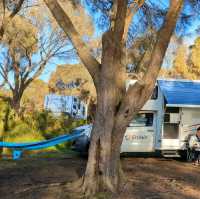 Soak in the sun and sea at Binalong Bay