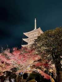 京都で紅葉や桜を見るなら東寺