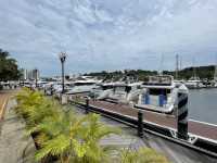 Luxury yacht-watching