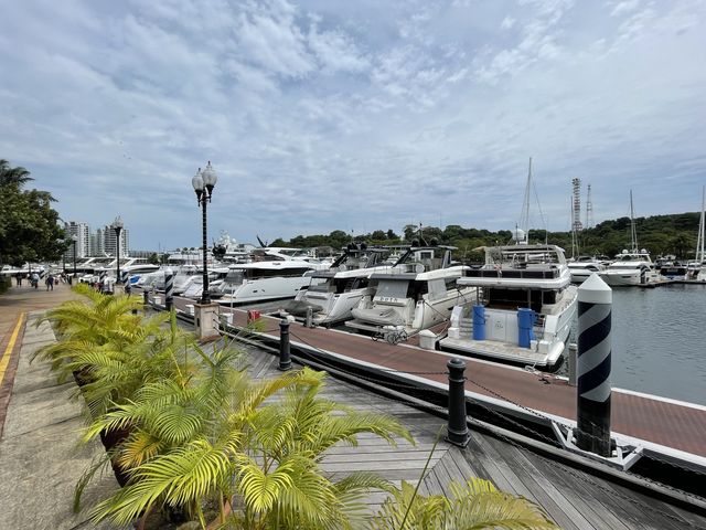 Luxury yacht-watching