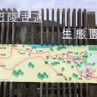 巴陵古道生態園區//老少咸宜的秘境景點