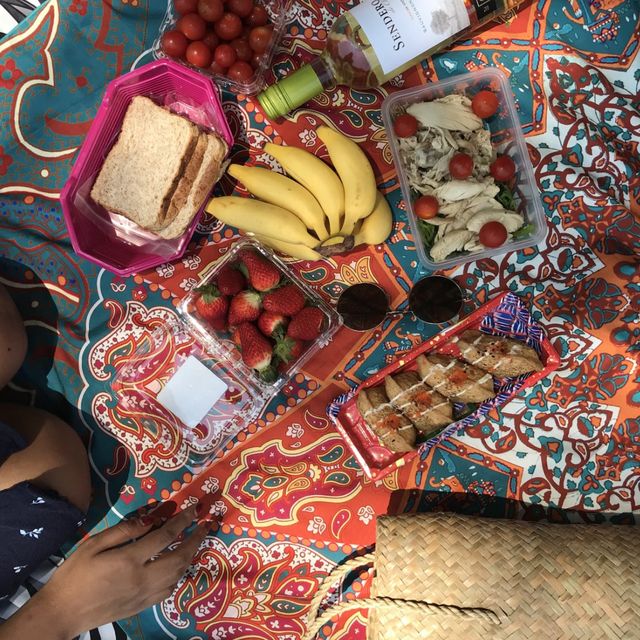 Afternoon picnic at Singapore Botanic Gardens