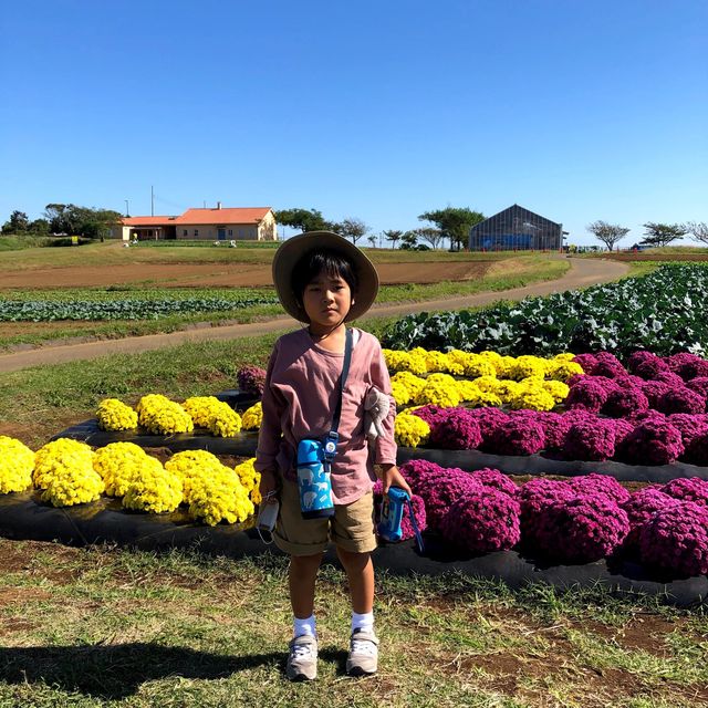 ソレイユの丘で秋を楽しもう🍁🍁🍁