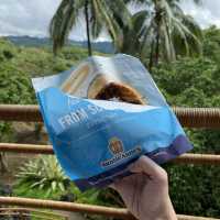 Safari Trip I