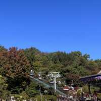 韓国【エバーランド】テーマパークで愉しむ韓国の秋🍁