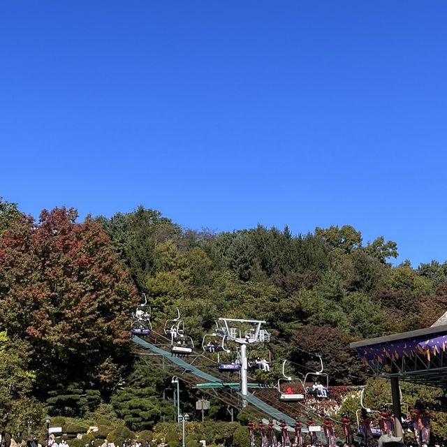 韓国【エバーランド】テーマパークで愉しむ韓国の秋🍁