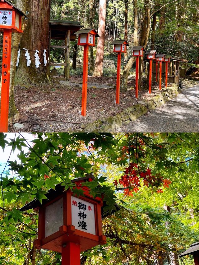 日吉大社大社