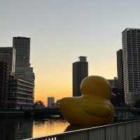 【大阪府】世界を旅するアヒルさんが今年も大阪へ！！
