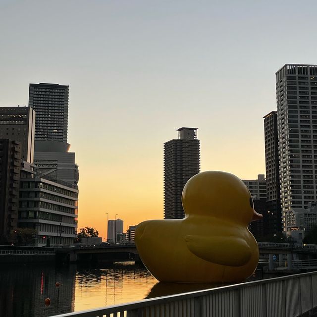 【大阪府】世界を旅するアヒルさんが今年も大阪へ！！
