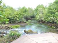🌿💦ผ่อนกาย สบายใจ คลองน้ำใส ท่าปอม🌿💦