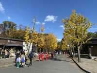 『大阪城公園』の『噴水広場』周辺