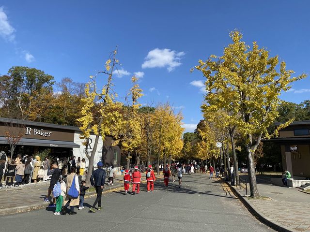 『大阪城公園』の『噴水広場』周辺
