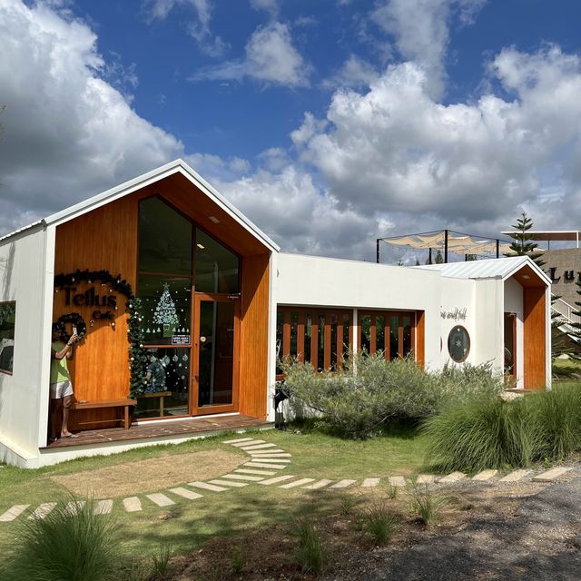 tellus cafe khaoyai🌲