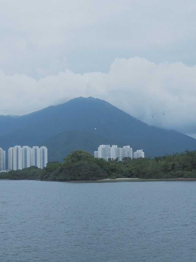 百年古蹟上的玻璃屋，嘆大澳蝦醬美食 