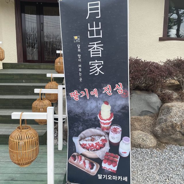 광주 딸기오마카세 디저트가 있는곳,월출향가