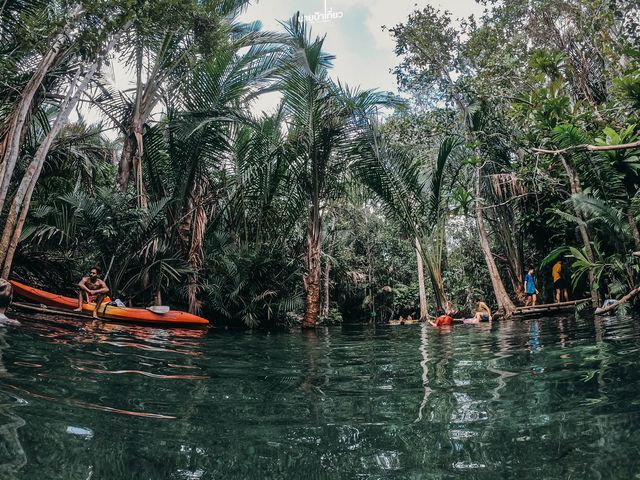 พายเรือคายัค คลองหรูด จ.กระบี่ 🇹🇭