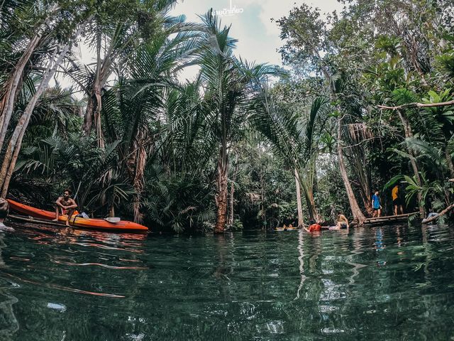 พายเรือคายัค คลองหรูด จ.กระบี่ 