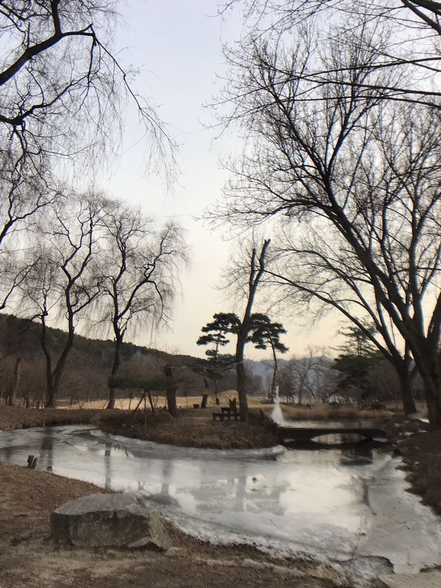 韓國｜春川南怡島