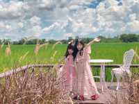 คาเฟ่ธรรมชาติ นอนนาคาเฟ่