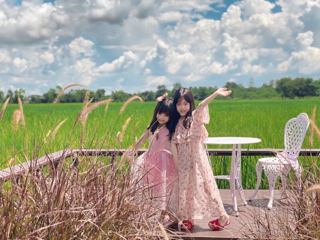 คาเฟ่ธรรมชาติ นอนนาคาเฟ่