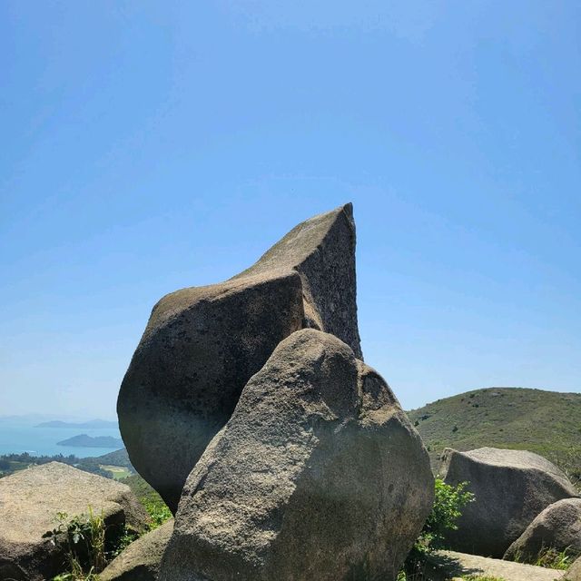 探虎郊遊遊