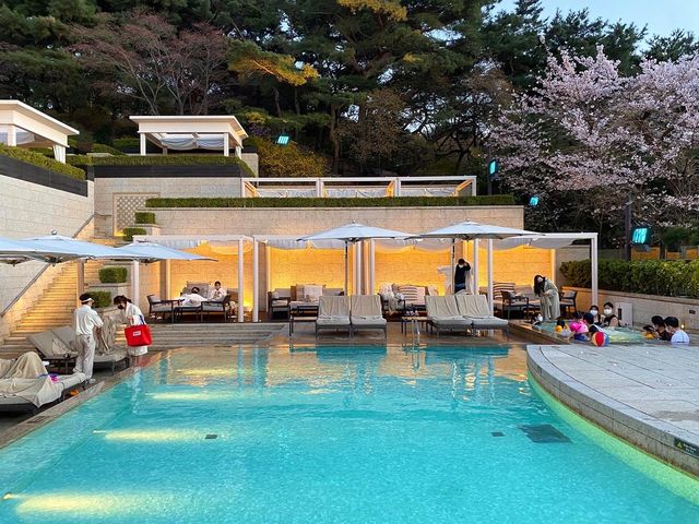 🏝도심 속 오아시스, ‘어번 아일랜드’ 