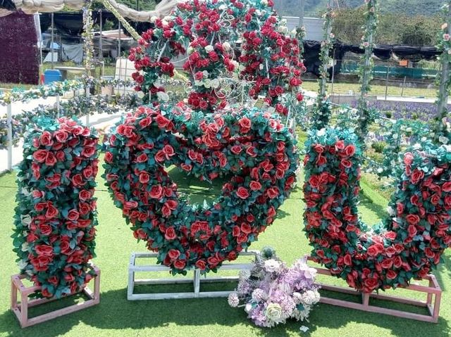 信芯園甜蜜打卡位