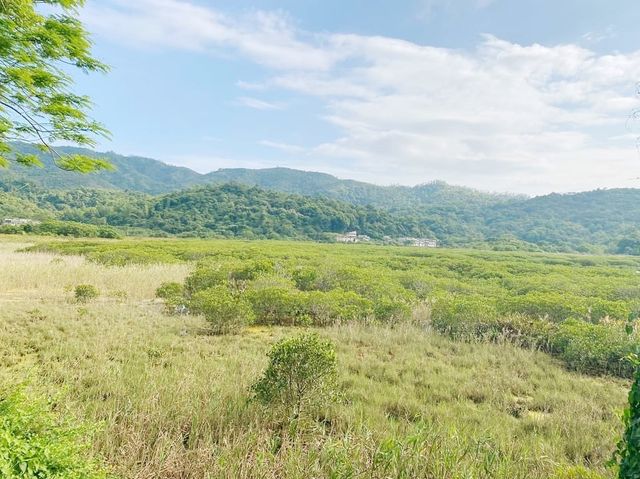 荔枝窩