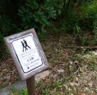 初级行山路線🚶‍♀️🚶‍♀️🚶‍♀️