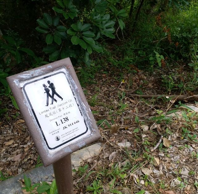 初级行山路線🚶‍♀️🚶‍♀️🚶‍♀️