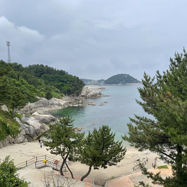 부모님이 100% 만족하셨던 강릉 여행 코스 공유해요!! 