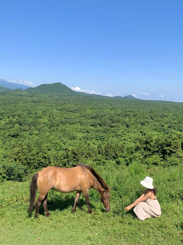 제주 오름 “문도지 오름”