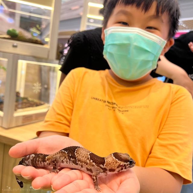 將軍澳中心