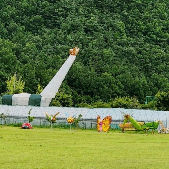 성주 솔가람피크닉 대구근교 당일캠핑 아이와 가볼만한곳