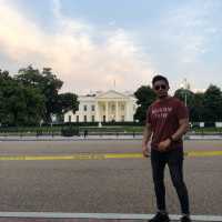 White House 