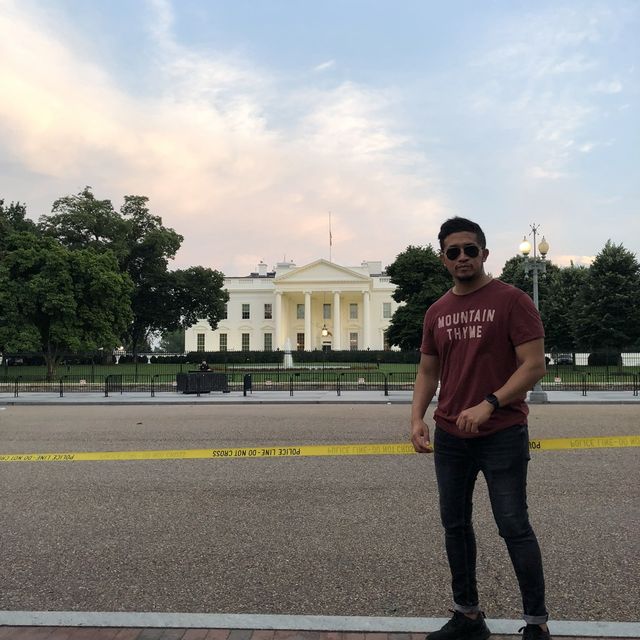 White House 