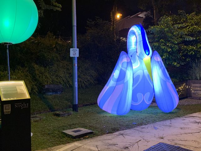 Cute inflatable birds! 🕊