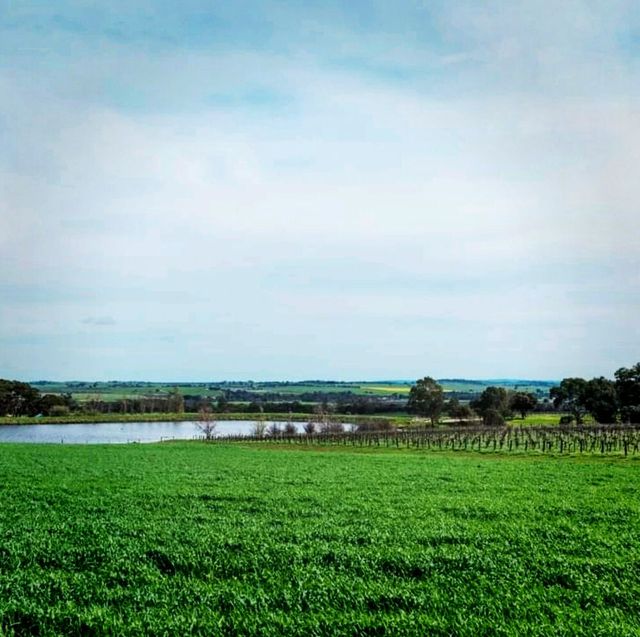 Barossa Valley, A Tourist Attraction