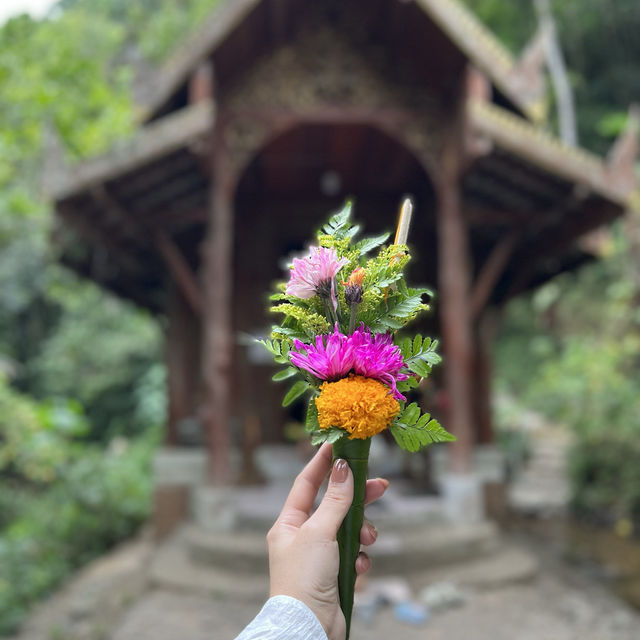แม่กำปอง เชียงใหม่