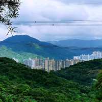 社山