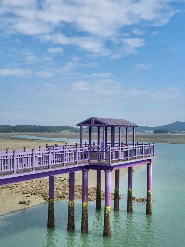 보라보라해💜세계 최우수 관광마을 전남신안 퍼플섬! 퍼플교💜💜