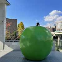 【大阪府】こどもたちの創造力や好奇心を育てるこどもの為の図書館！