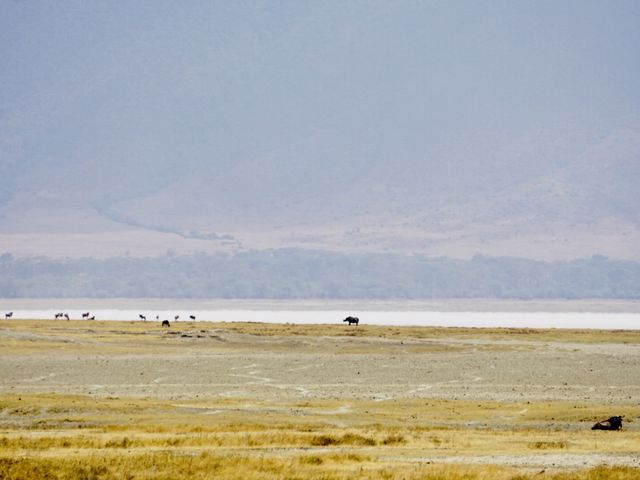 Hiking up Kilimanjaro & Safari