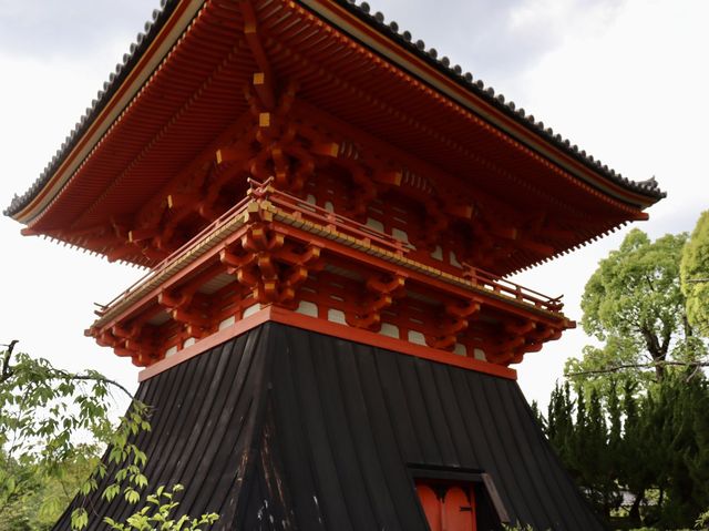 🌸京都 総本山！仁和寺をご紹介