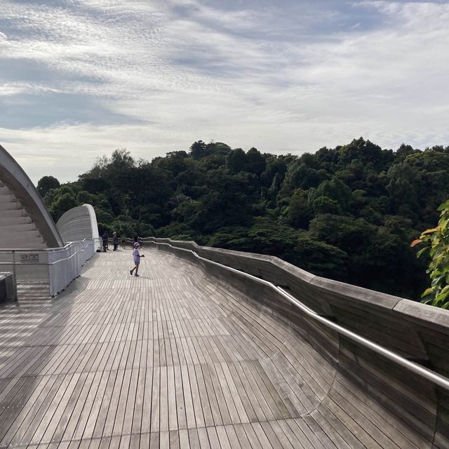 brisk walk from Alexander Trail to Mt Faber